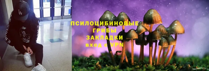 дарк нет состав  Сафоново  Псилоцибиновые грибы MAGIC MUSHROOMS 